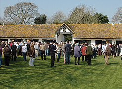 Member's at Nicky Henderson's Seven Barrows Stables
